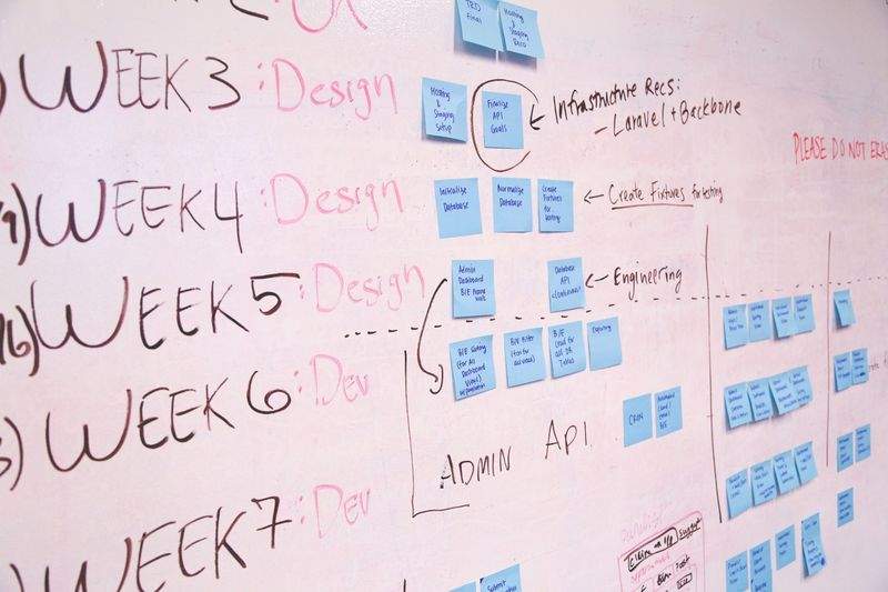 Why Audience Insight Matters Before Your Next Campaign Launch